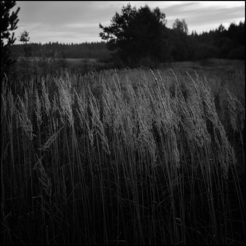 Пробуждениеphoto preview