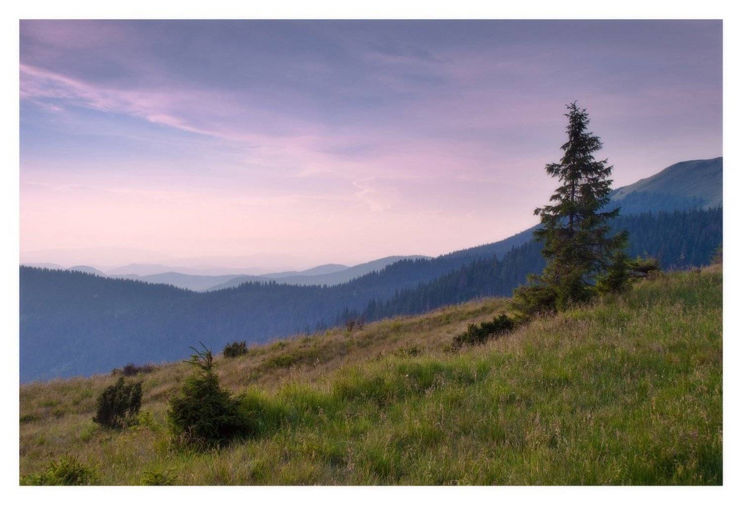 карпаты, мармаросы, Dmitry Pozharsky