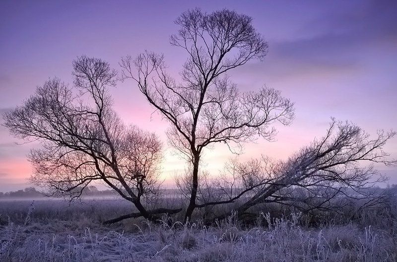 природа, пейзаж ***photo preview