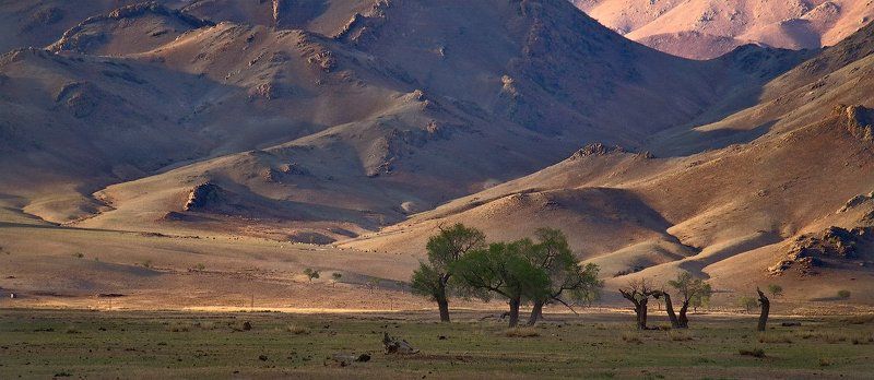 монголия Монголия.В долине р.Селенга. фото превью