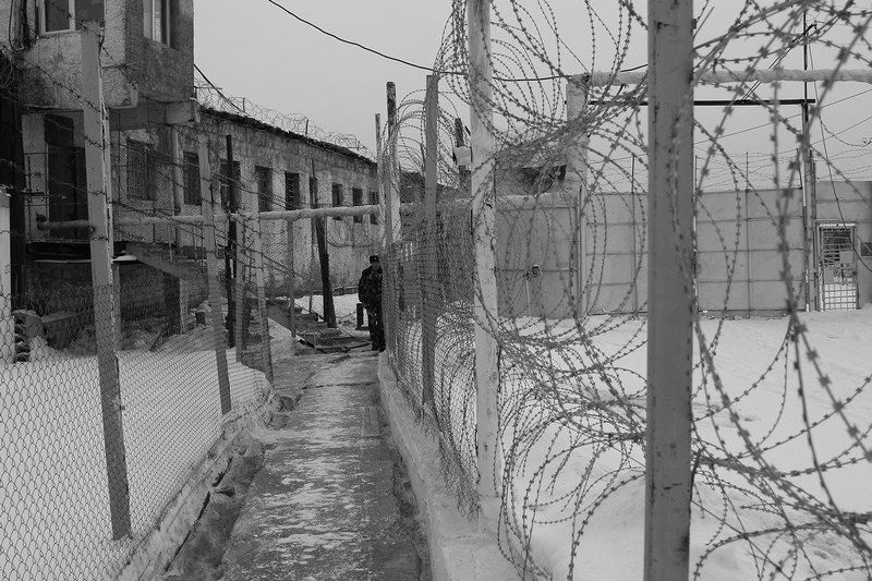 колония, строго, режима \