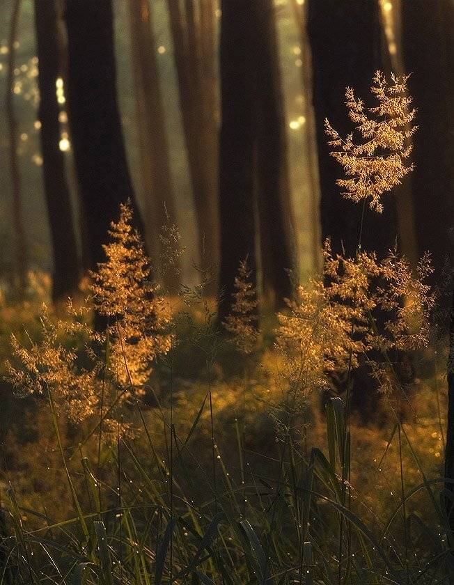 , Александр