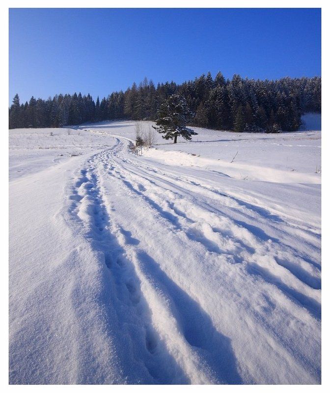 Снежная дорогаphoto preview