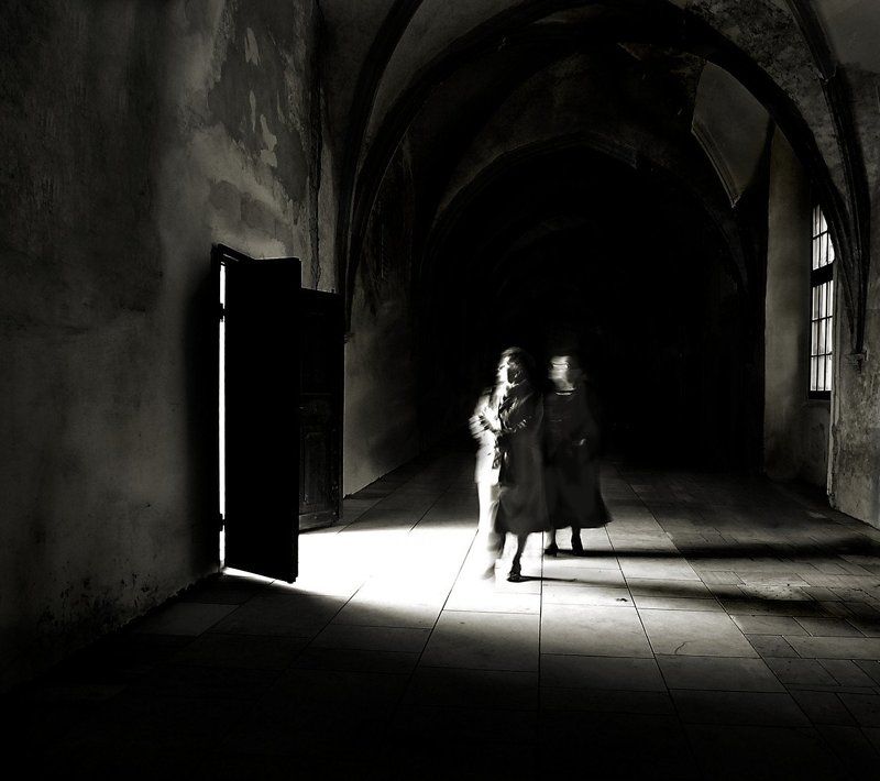 revelationphoto preview