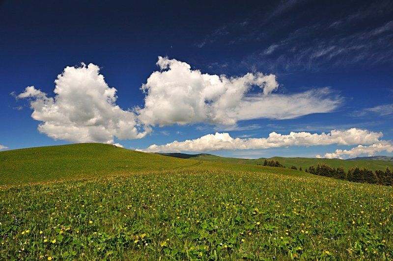 табан карагой, плато, горы, казахстан плато Табан-Карагойphoto preview