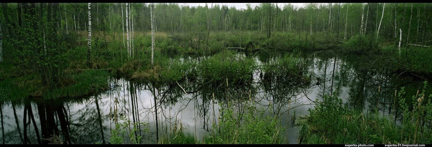триас, панорама, болото, пруд, озеро, весна, Павел Супрун