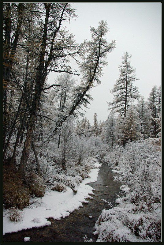 ручей, тайга, зима, приполярье Замерзающий ручейphoto preview