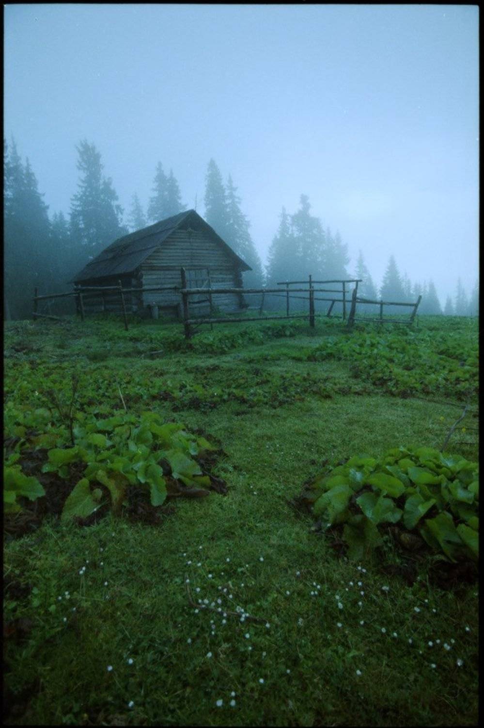 природа, пейзаж, карпаты, Piligrim