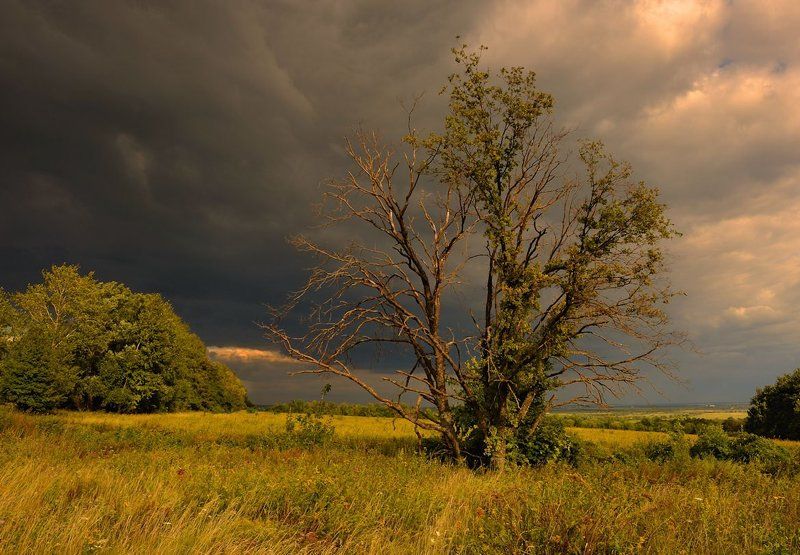 Накрыло...photo preview