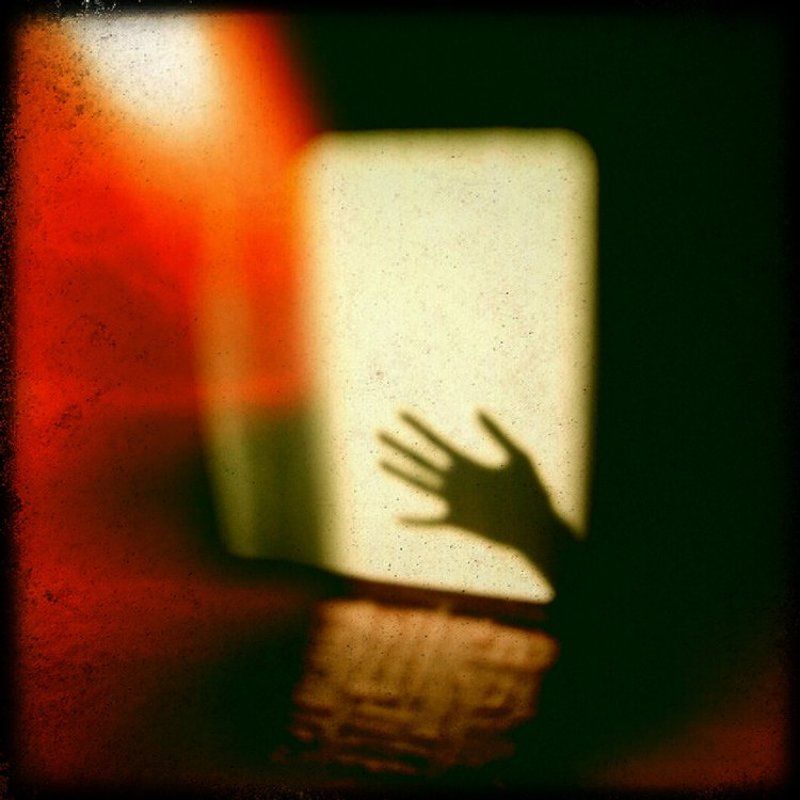 рыббаphoto preview