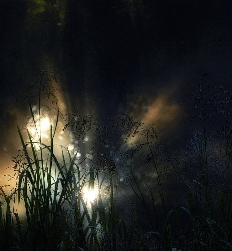 , Александр