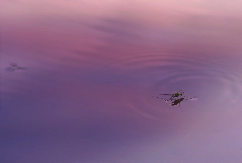 Вечер на рекеphoto preview