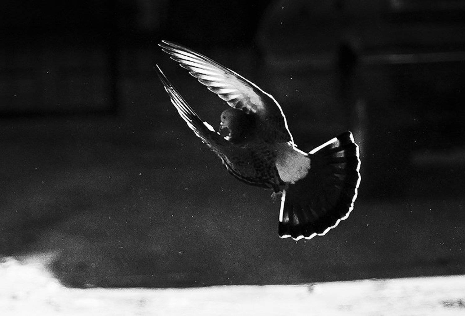 , Максим Юлдашев (maximyuldashev.ru)