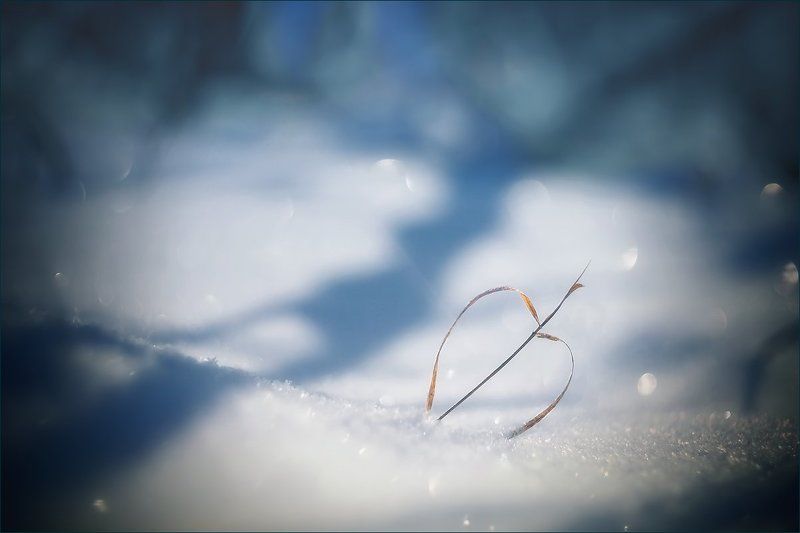 Заснеженные чувстваphoto preview