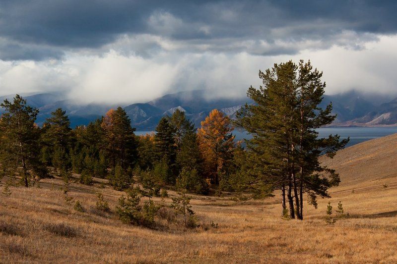 байкал, ольхон Осенний Ольхонphoto preview