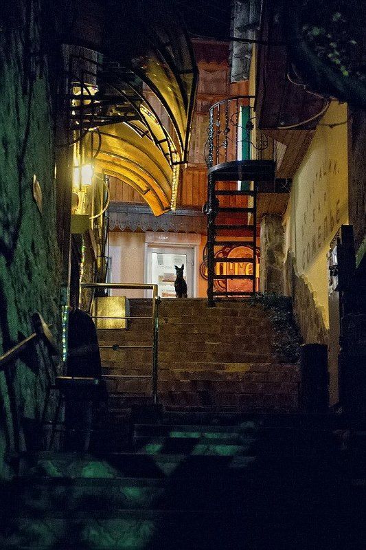 ночной Гурзуфphoto preview