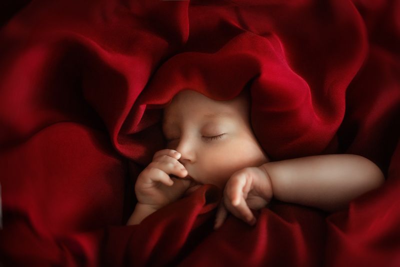 Appolinarie  Rosaphoto preview