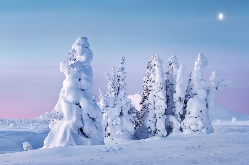 пломбир, зима, урал, гух, главный уральский хребет, пейзаж, рассвет, ель Родом из детстваphoto preview