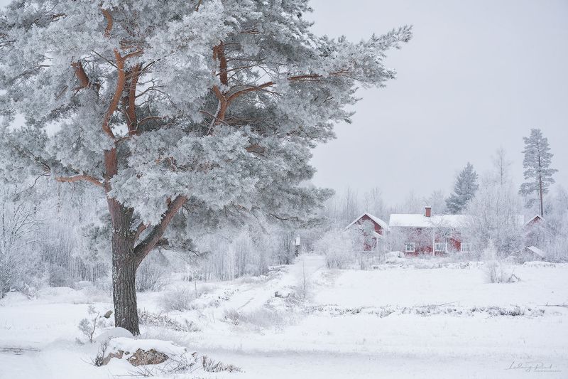 “nature does not hurry, yet everything is accomplished.”                                                          ~ lao tzu Falu Redphoto preview