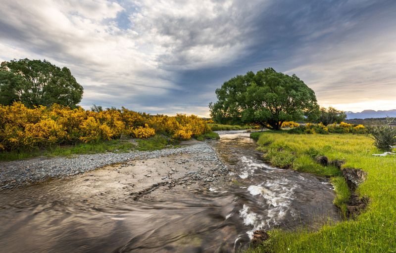 Новозеландские пейзажиphoto preview