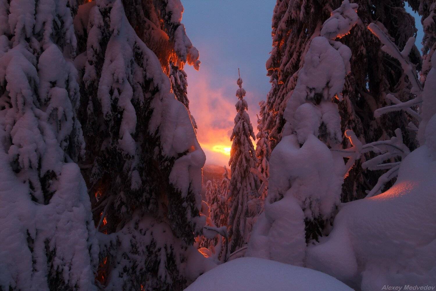 горы, гори, закарпаття, зима, карпати, свидовець, лопухів, лопухов, свидовец, карпаты, закарпатье, свет, закат, солнце, яркий, Алексей Медведев