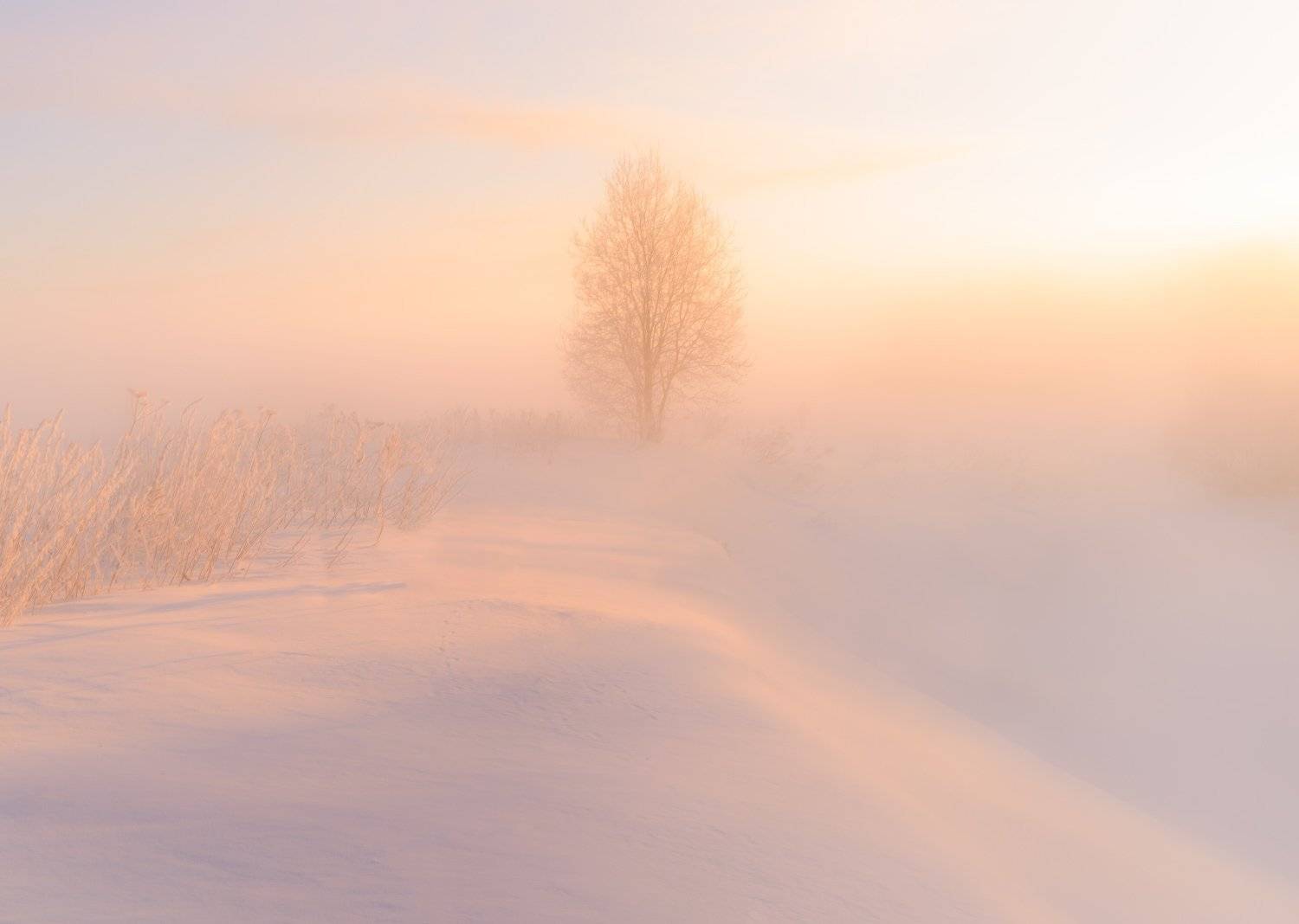 Затаилось в морозном тумане. Автор: Евгений Цап , Евгений Цап