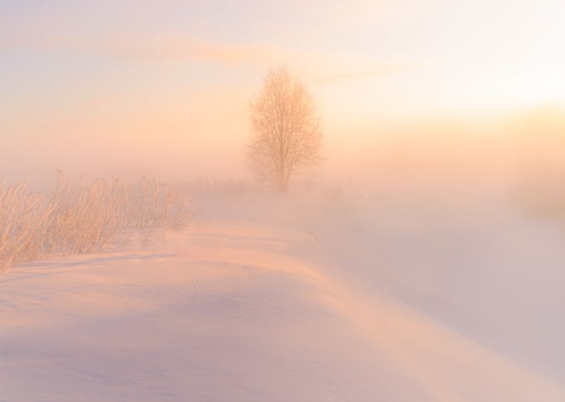 Затаилось в морозном туманеphoto preview