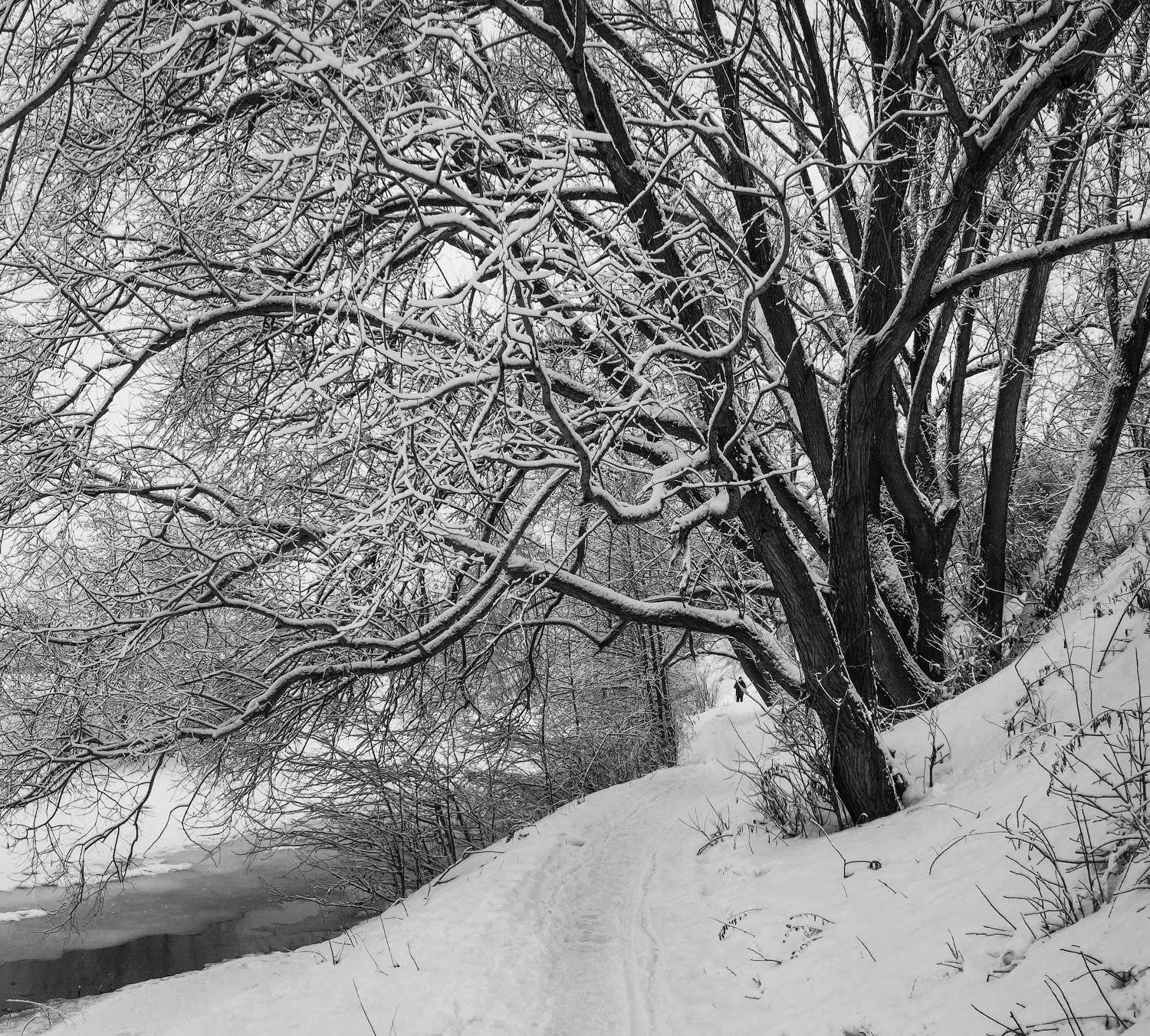 жанр, ч/б, снег, b&w, black and white,черное и белое, черно-белое,графика, плетёнка, рязань, Олег Клочков