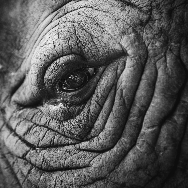 Оценочное портфолиоphoto preview