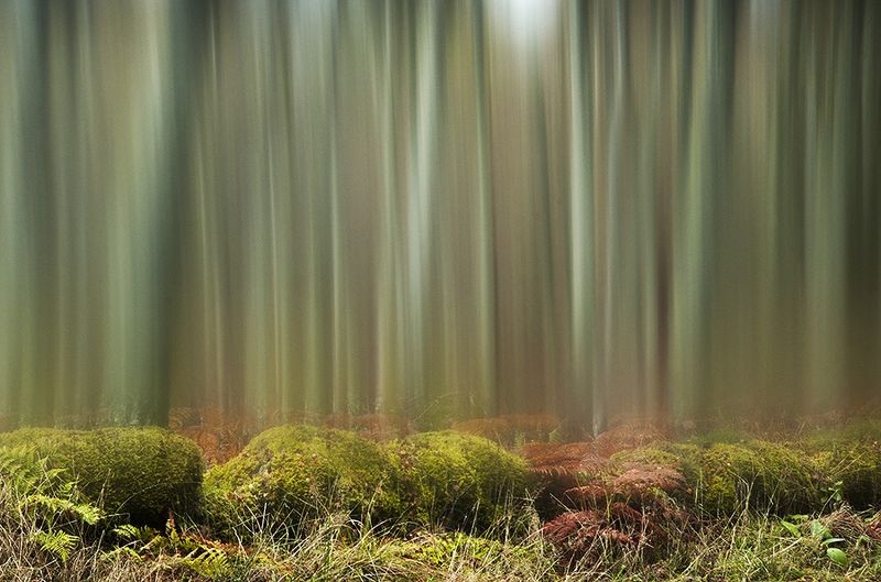 Green curtainphoto preview