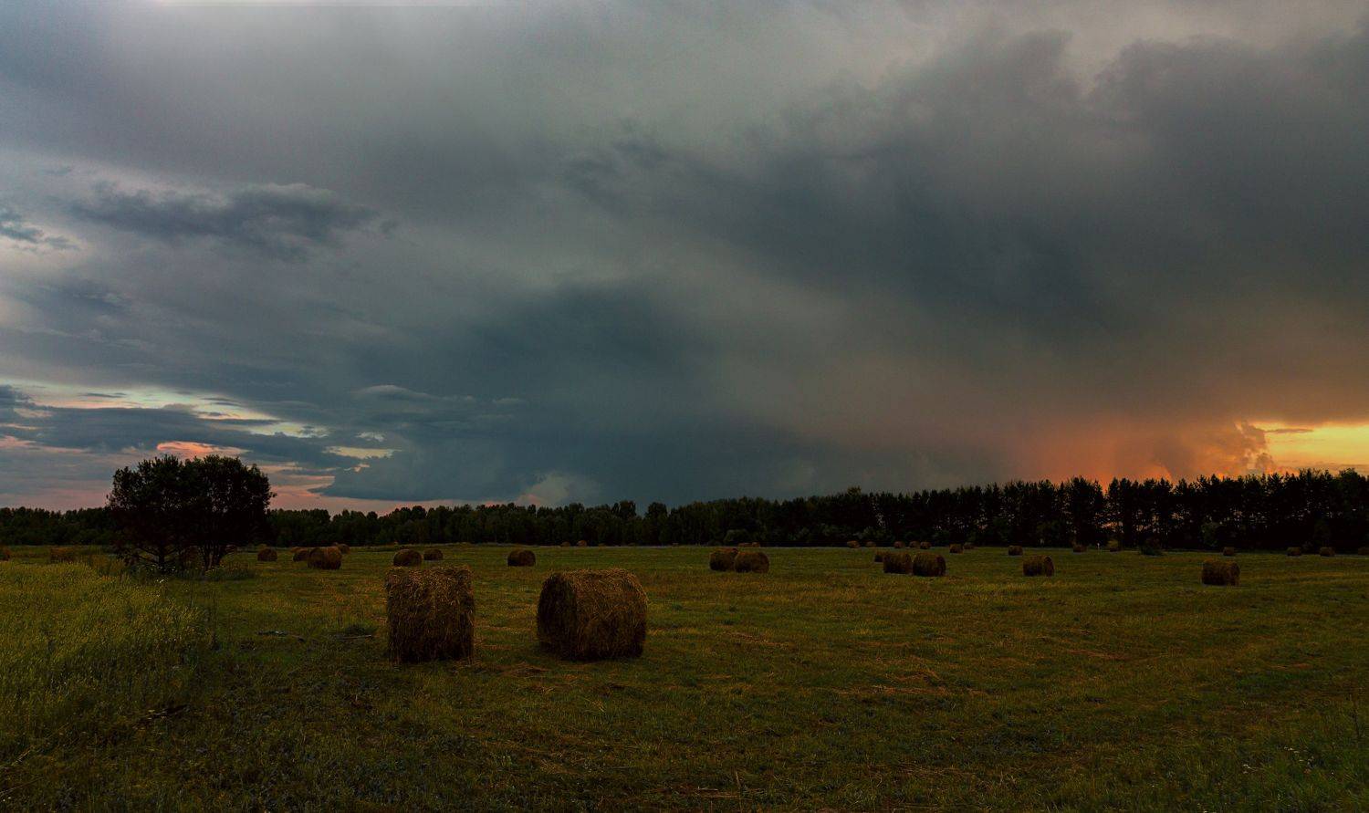 Западная Сибирь, закат, Евгений Гаганов