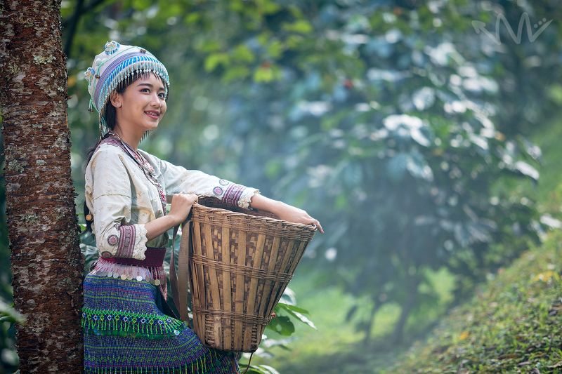 portrait,hmong,thailand,asia,coffee,female,woman,beautiful, Hmongphoto preview