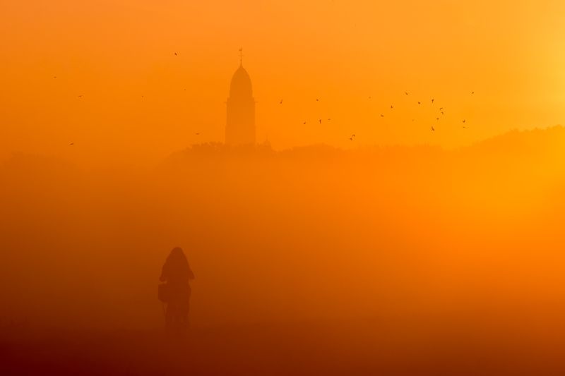 #landscape #yellow #fog Code Yellowphoto preview