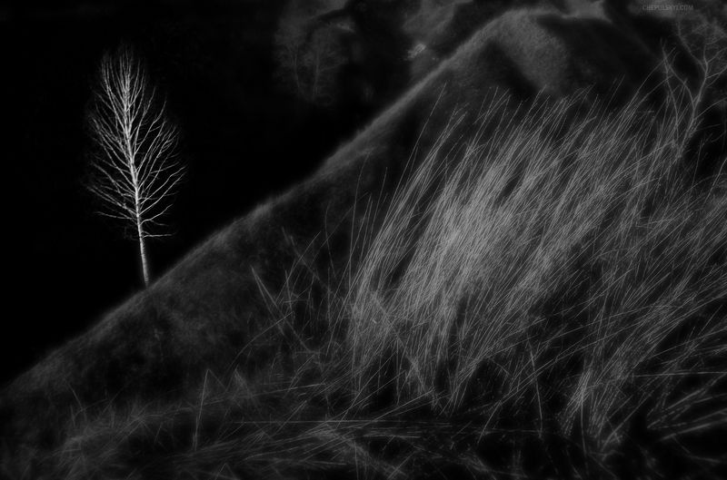 nature, bw, landscape The guardphoto preview