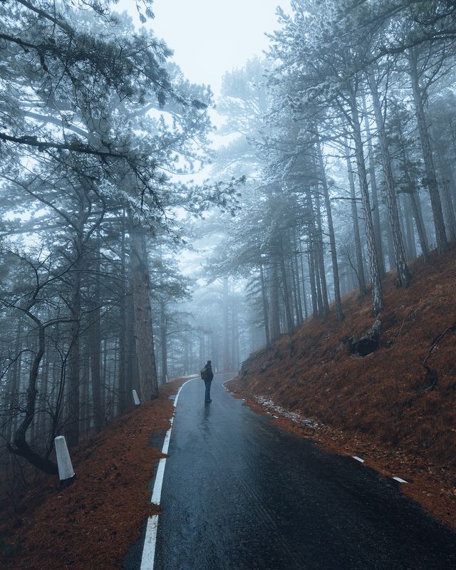 крым, ялта, никитская яйла, ай-петри, уч-кош, романовское шоссе Романовское шоссеphoto preview