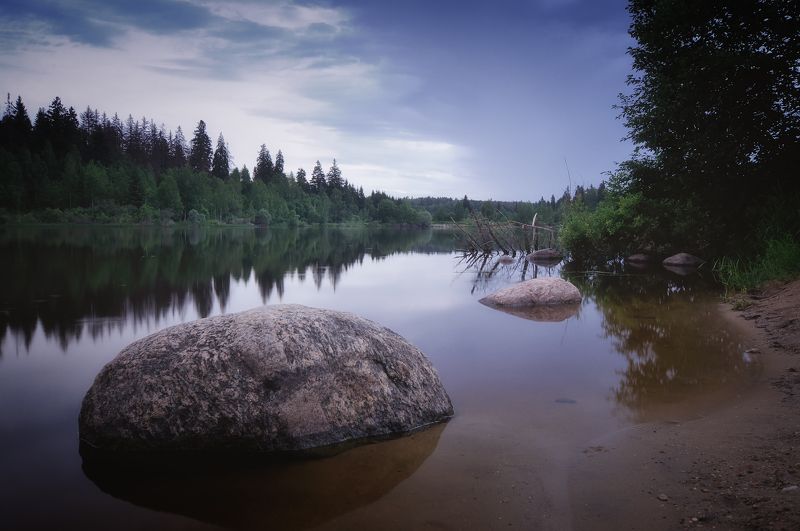 лес, природа, пейзаж, лето, река, вода, ручей, подмосковье В тишинеphoto preview