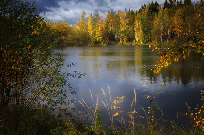 лес, природа, пейзаж, осень, река, вода, ручей, подмосковье Осеньюphoto preview