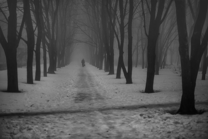 зима, февраль, парк, аллея Февраль уходит ...photo preview