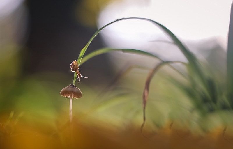 На дальней станции сойду...photo preview