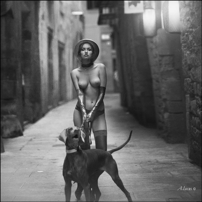 Lanterns of Catalonia © фото превью