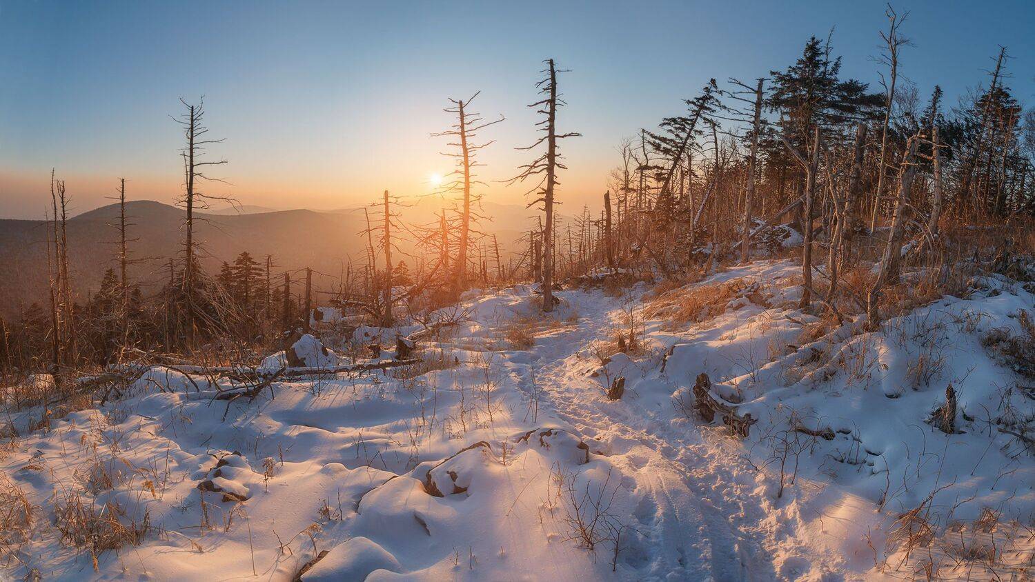 Закат на Фалазе. Автор: Шинкарева Елена закат на фалазе, Шинкарева Елена