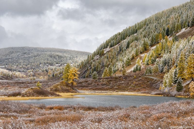 алтай, altai, осень, autumn, озеро, lake Первый снегphoto preview