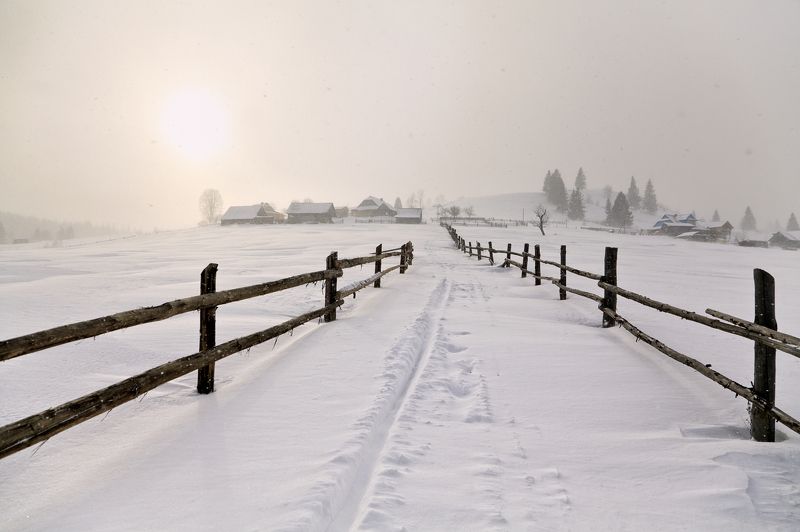 Белое безмолвиеphoto preview