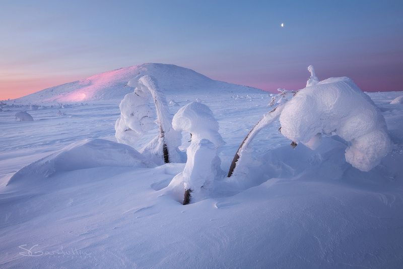 ГУХ, Урал, Северный Урал, зимний пейзаж, Главный уральский хребет Цветы зимыphoto preview
