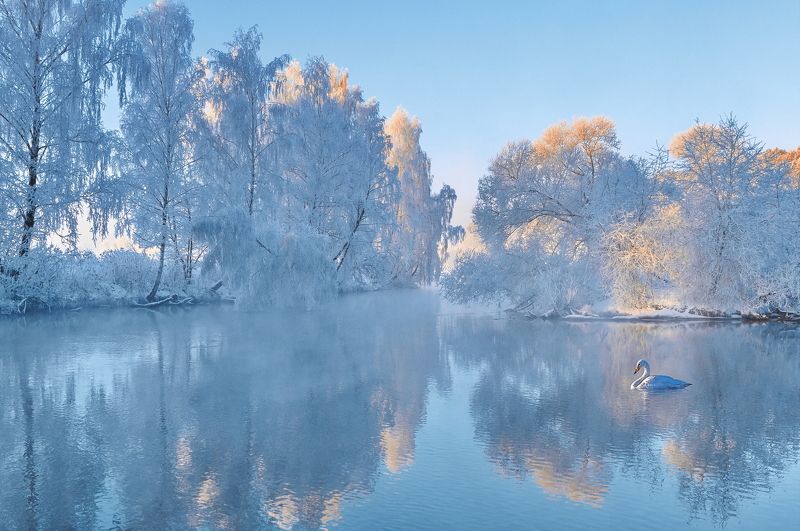 утро, мороз, природа, зима Морозным утромphoto preview