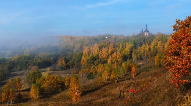 Мягкий плед из желтых листьев.photo preview