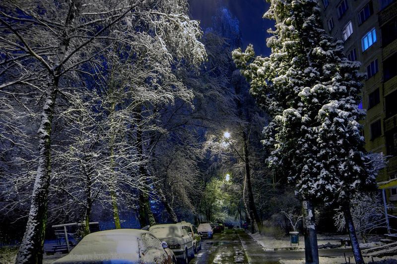 беларусь, город, минск, вечер, фотосфера-минск ...Иней в городе!!!photo preview