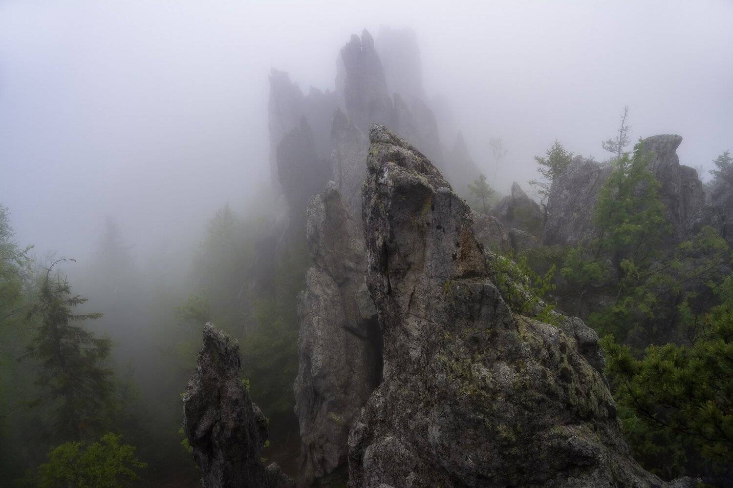 Тени Таганая. Автор: Андрей Шарапов , Андрей Шарапов