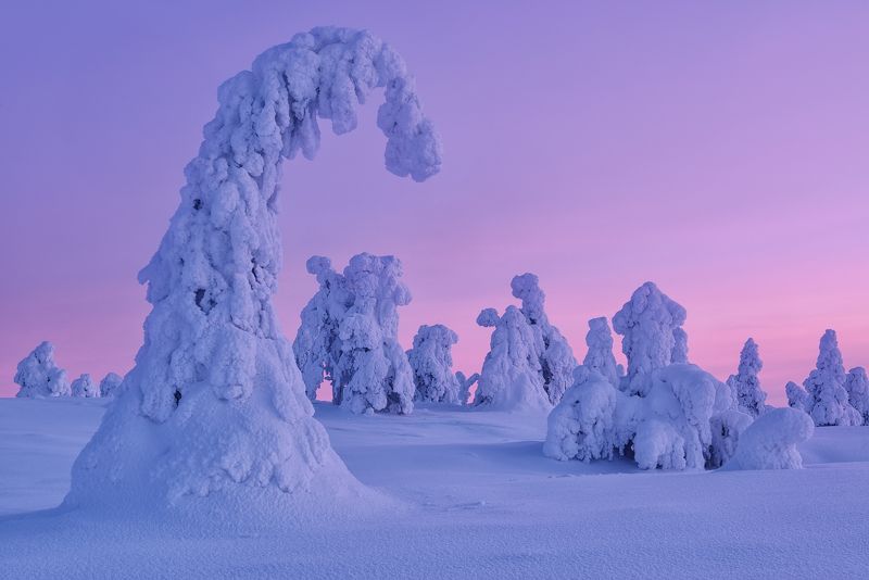 Иностранки :)photo preview