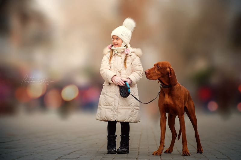 собака, анималистика, зима,   портрет, венгерская выжла, ребенок, парк Друзьяphoto preview